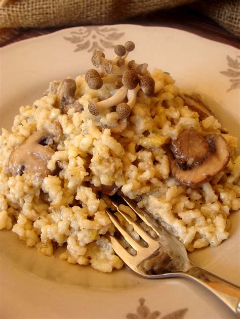 LekkerBek: Wild Mushroom Risotto with Truffle Oil