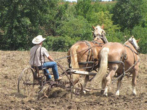 Plowing with Belgian Draft Horses | lil bit country | Pinterest ...