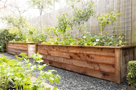 The Best Type of Wood to Use for a Raised Garden Bed • Gardenary