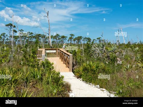 Florida, Big Pine Key, National Key Deer Refuge, Frederick C. Mannillo ...