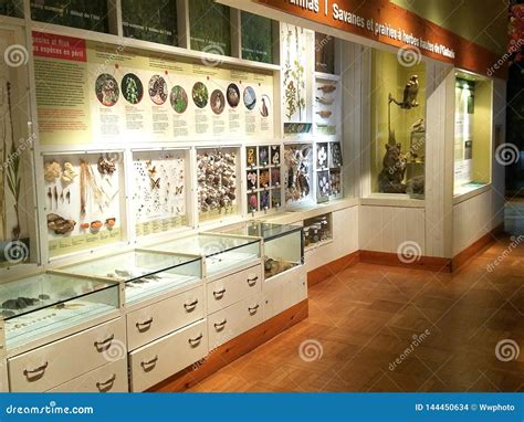 Royal Ontario Museum Exhibits Editorial Stock Image - Image of ...