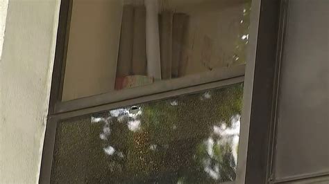 Fort Lauderdale City Hall Left Damaged By Nearby Shooting – NBC 6 South ...