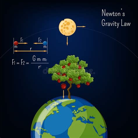 Newton Apple Tree Discover Gravity Posters Stock Illustration ...