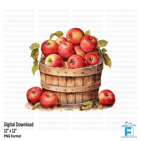 Bushel of Apples Clipart Bushel of Apples Png Watercolor - Etsy