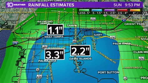 Flooding in Tampa reported after heavy rain | wtsp.com