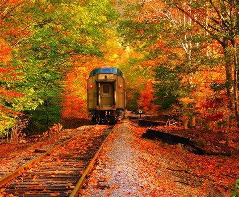 11 Top Michigan Fall Trains - My Michigan Beach and Travel