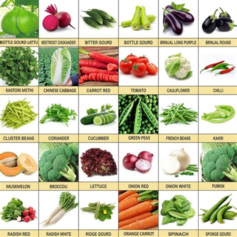 Kraft Seeds Vegetable Seeds 30 Varieties Of Seeds Tested And Packed For ...