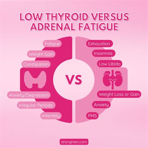 Adrenal Fatigue vs. Low Thyroid - Dr. Jolene Brighten