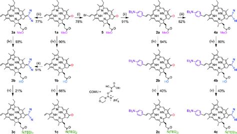 Scheme 1 Synthesis of derivatives of pyropheophorbide-a methyl ester ...