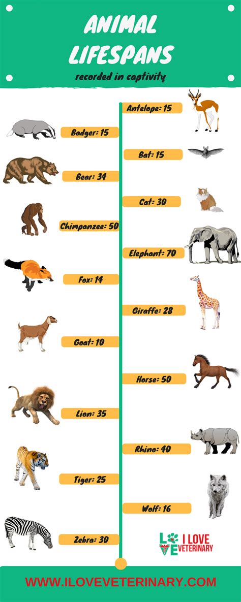 Facts About Animals In Captivity