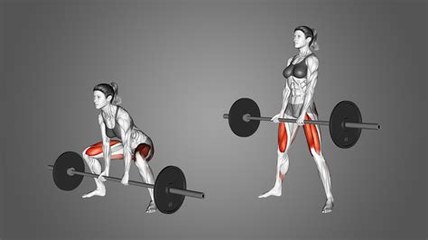 Sumo Deadlift: Benefits, Muscles Used, and More - Inspire US