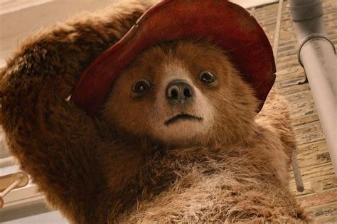 Paddington 2, the second film of Michael Bond's Peruvian bear, is out ...