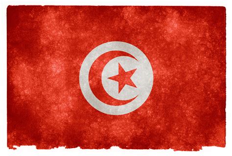 Free photo: Tunisia Grunge Flag - Africa, Resource, Moon - Free ...