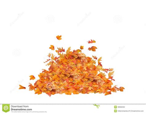 Leaf piles clipart 20 free Cliparts | Download images on Clipground 2020