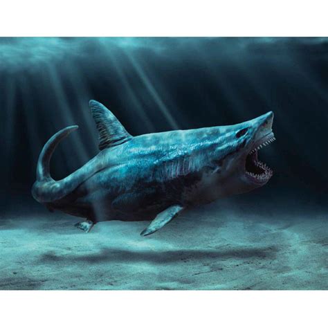 Rare Megalodon prehistoric sharks Dinosaurs Model toy Figure New In Box ...