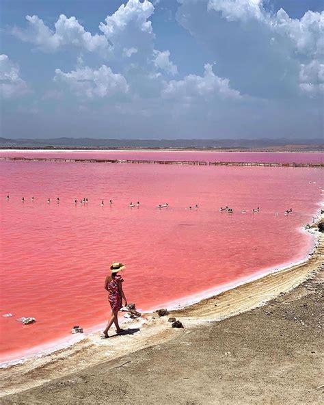 Colombia’s Pink Sea in Galerazamba Colombia Travel (@colombia.travel ...