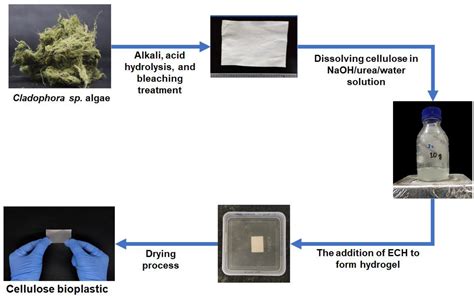 Polymers | Free Full-Text | Facile Preparation of Cellulose Bioplastic ...