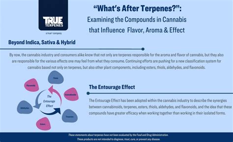 Flavors & Aromas in Cannabis: What’s After Terpenes? | TrueTerpenes.com