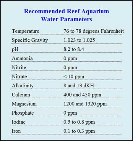 Saltwater Aquarium Water Parameters | Aquatic Experts