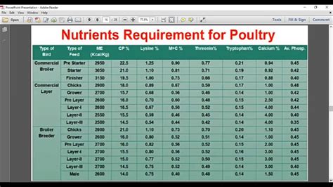 Poultry Feed Formulation & Feeding Economics - YouTube