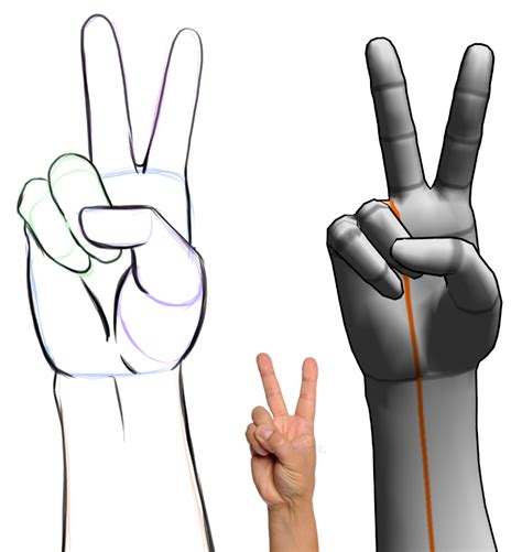 Peace Sign Hand Drawing Reference