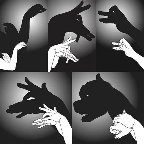 Shadow Puppets Animals