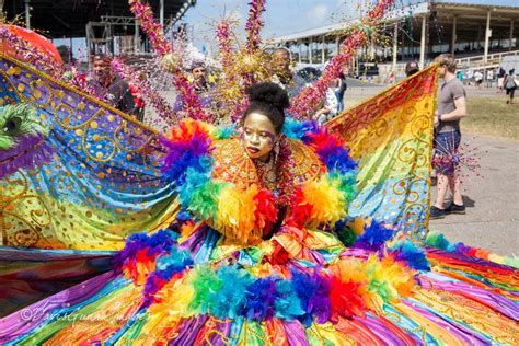 20180210-IMG_0133 | Trinidad carnival, Carnival, Carnival costumes