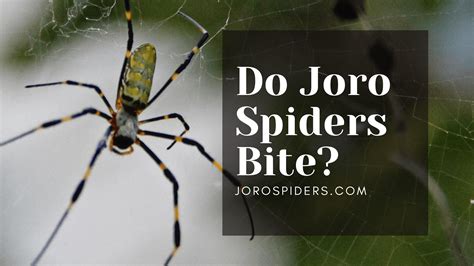 Joro Spider Spread Map - Joro Spiders