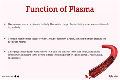 Plasma (Human Anatomy): Picture , Functions, Diseases and Treatments