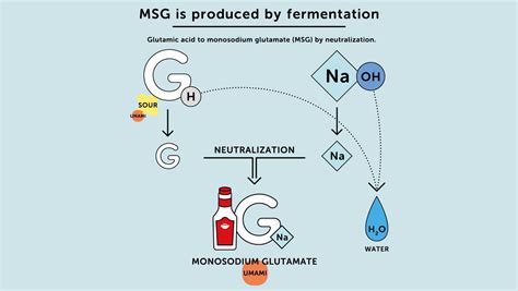 What Is MSG And How Is It Made? | MSG (Monosodium Glutamate)