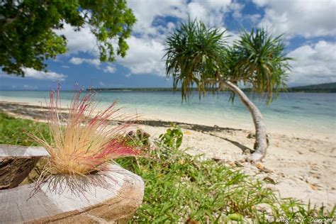 Make the move to Aore Island Vanuatu today. Beachfront land for sale