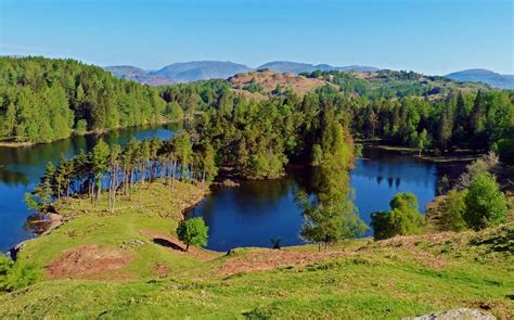 Tarn Hows is a stunning lake with great views