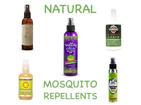 Natural Mosquito Repellents | Homemade Mosquito Repellent – Grow Your ...