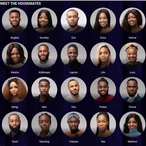 Video: How the BBNaija Lockdown Housemates voted - Awijare News