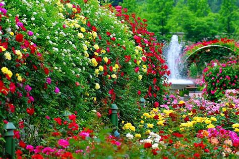 Beautiful garden!, fountain, bonito, park, roses, floral, green, bridge ...