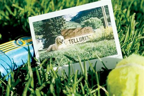 Videos | Visit Telluride