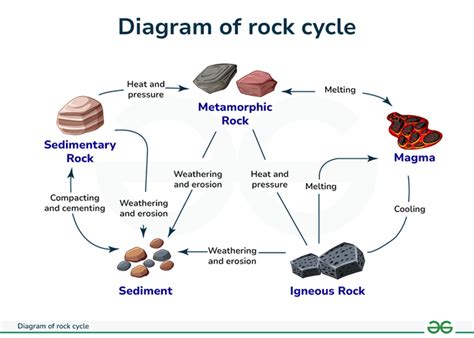 Diagram of Rock Cycle - GeeksforGeeks