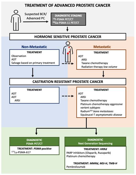 Prostate Cancer Treatment Algorithm