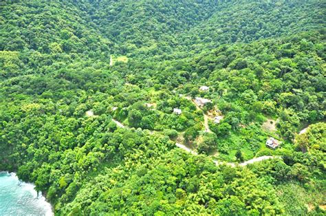 Tobago’s Main Ridge Forest Reserve is C'bean Nature Park of the Year ...