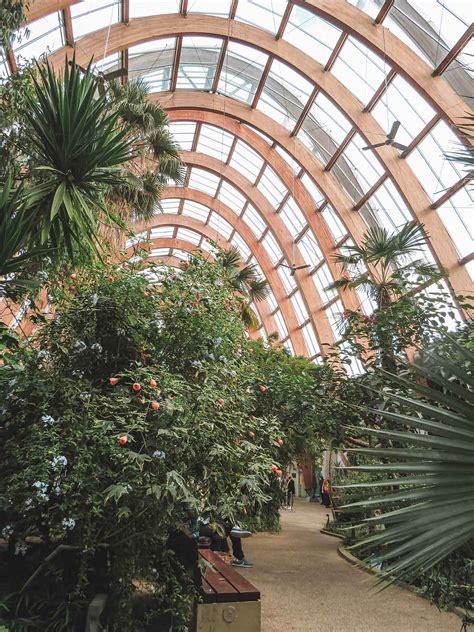 The Winter Garden In Sheffield City Centre | Fasci Garden