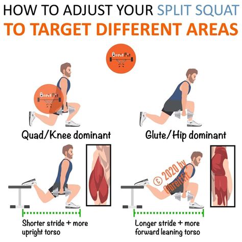 Enhance Your Workout: Target Quads or Glutes/Hips with Split Squats