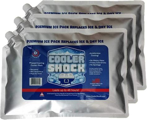 Extra Large Ice Packs for Coolers [Long Lasting] Gets Cold and Stays ...