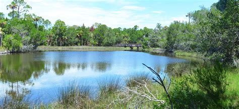 Withlacoochee River Park | WaterMatters.org