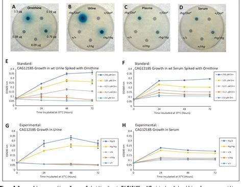 [PDF] Auxotrophy-Based Detection of Hyperornithinemia in Mouse Blood ...