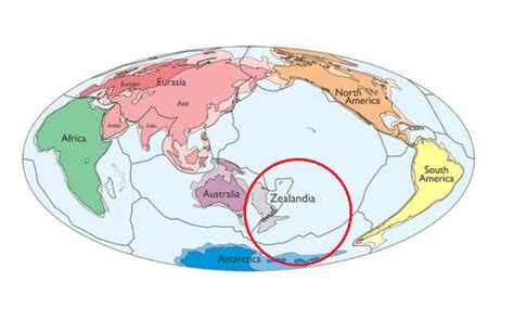 Zealandia: All you need to know about the 8th continent we didn't know ...