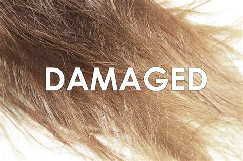 How To Save Your Damaged Hair! | Treat damaged hair, Hair remedies ...