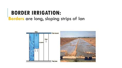 TYPES OF SURFACE IRRIGATION METHODS - YouTube