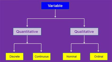 Window to Statistics for Beginners: Topic 1 - Types of Data