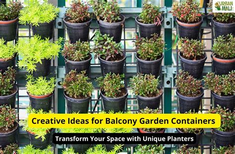 Creative Ideas for Balcony Garden Containers: Transform Your Space with ...