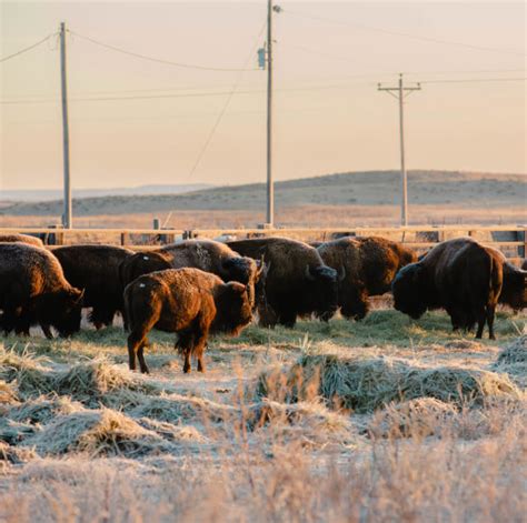 The Rosebud Sioux Tribe in South Dakota | U.S. Economic Development ...